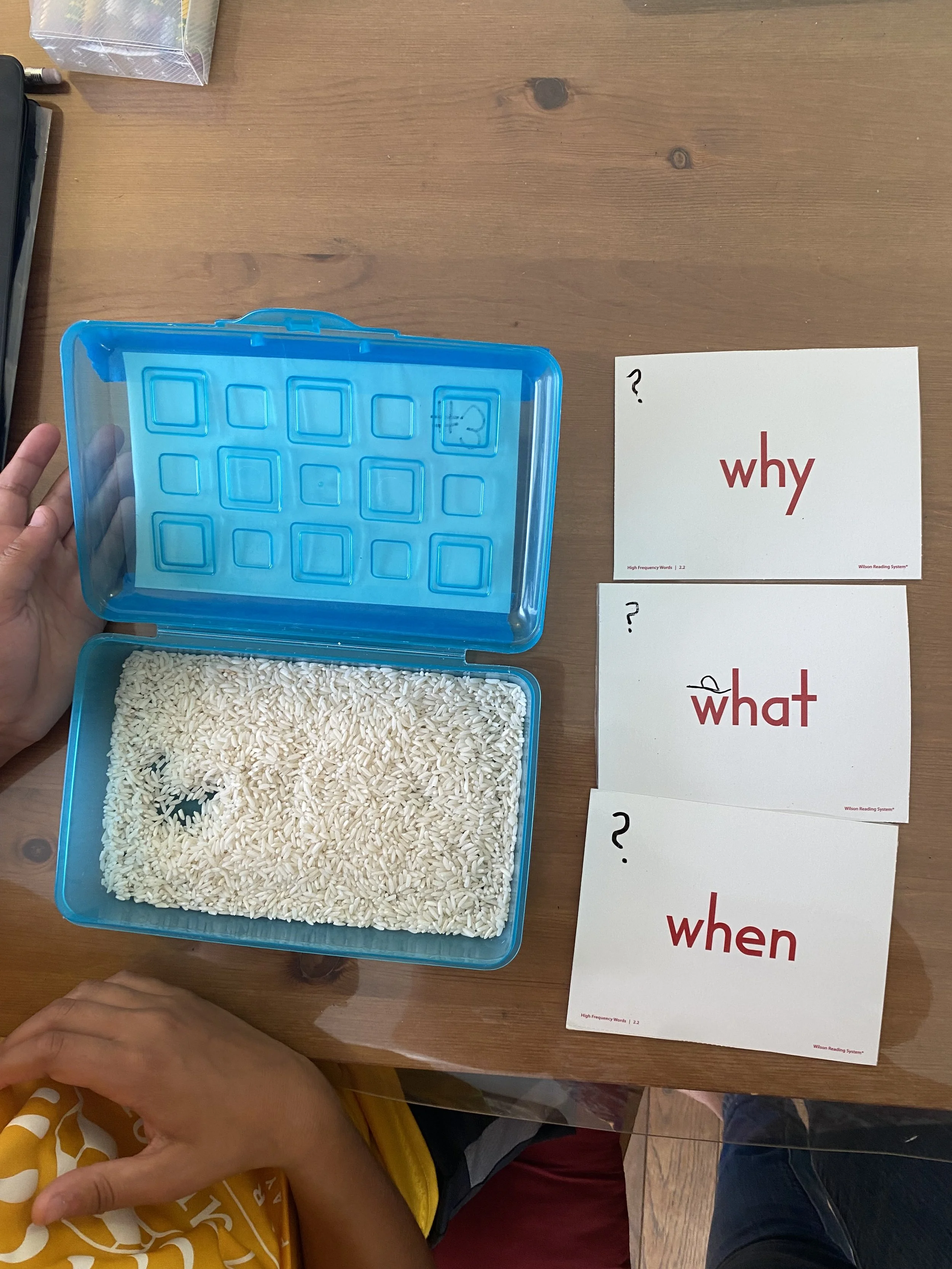 Student reading consultation