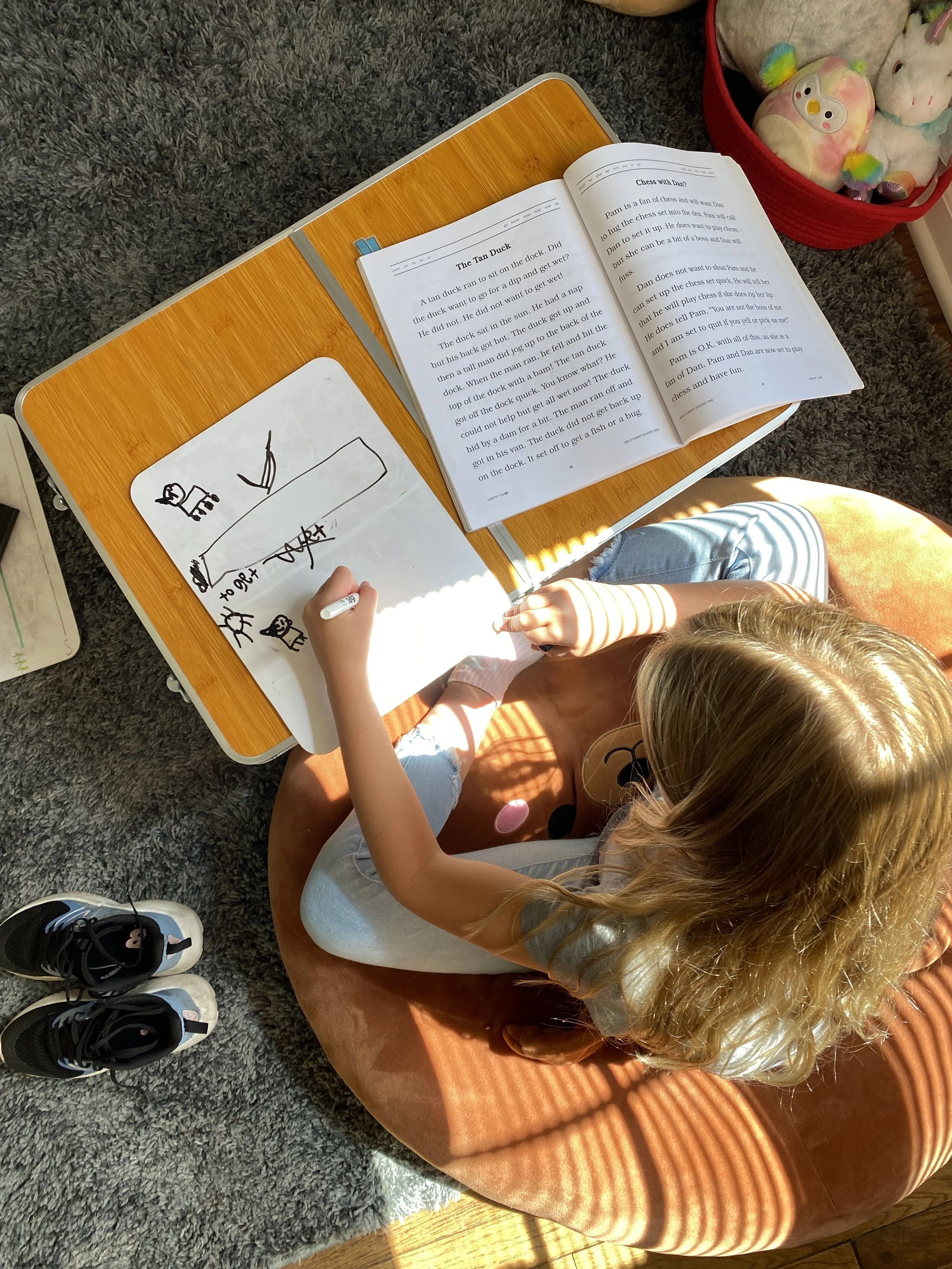 In-person literacy tutoring session